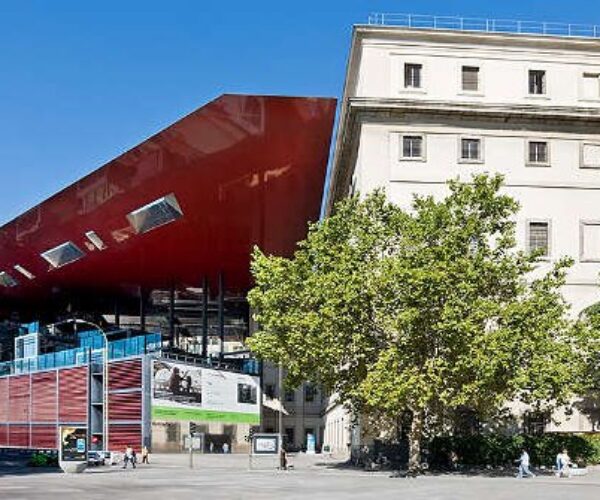 Reina Sofía Museum Tour
