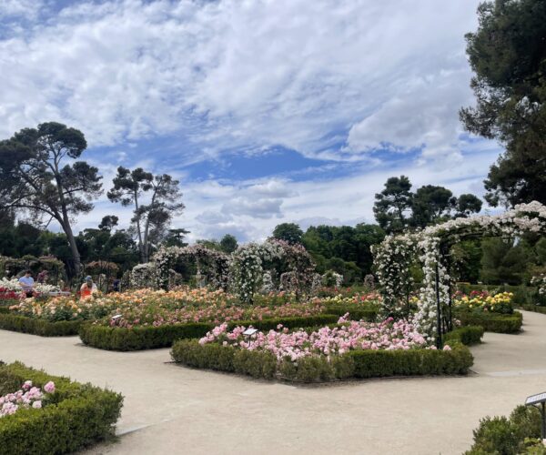 Women of Madrid Tour