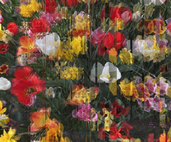 Women of Madrid Tour